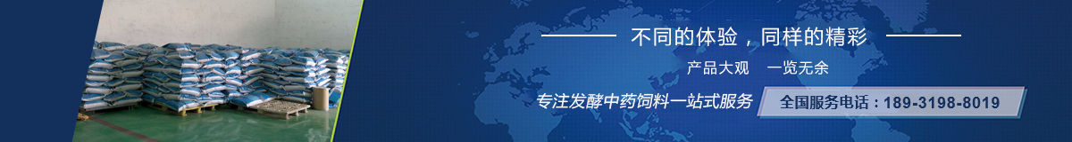 中部广告