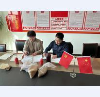 金麦维公司
